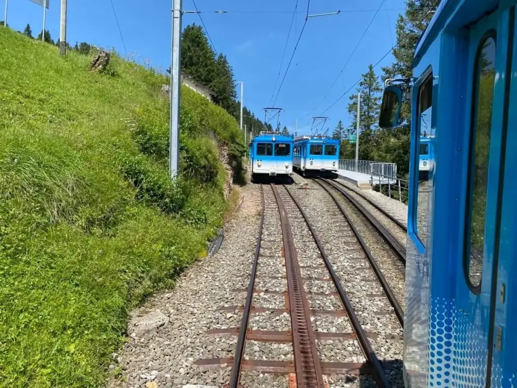 The cog railway on its way to the top of Rigi